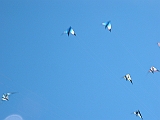 2005_0508_153816AA