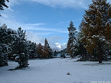 2004_1016_084729AA