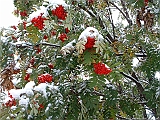 2004_1016_084806AA