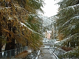 2004_1016_084827AA