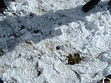 2004_1016_113758AA