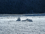 2004_1017_093328AA