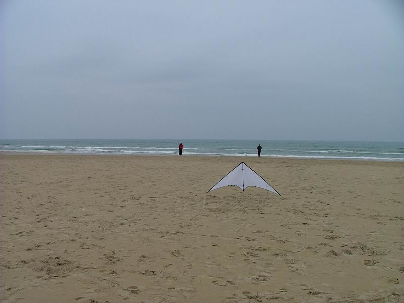 h3-luci-kite.jpg.jpg