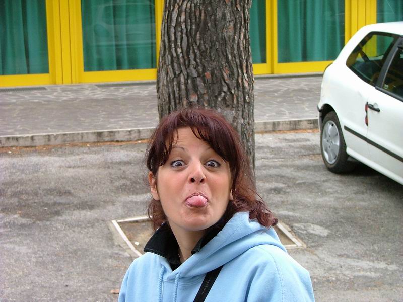 n1-lm-1.jpg.jpg