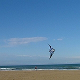 p4-luca-t2.jpg