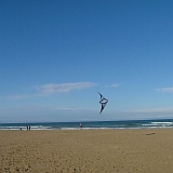 p5-dscf0292.jpg