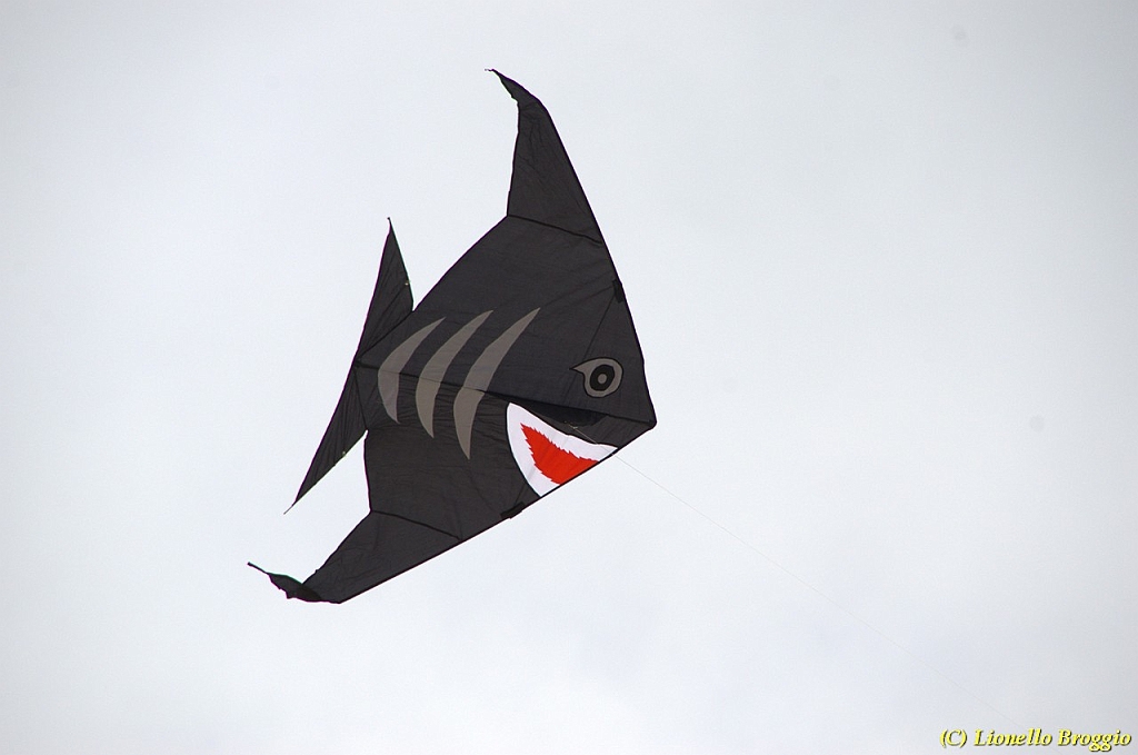 DSC_4886.jpg