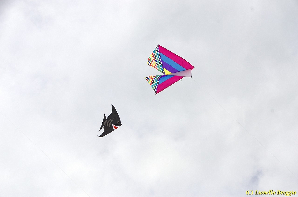 DSC_4887.jpg