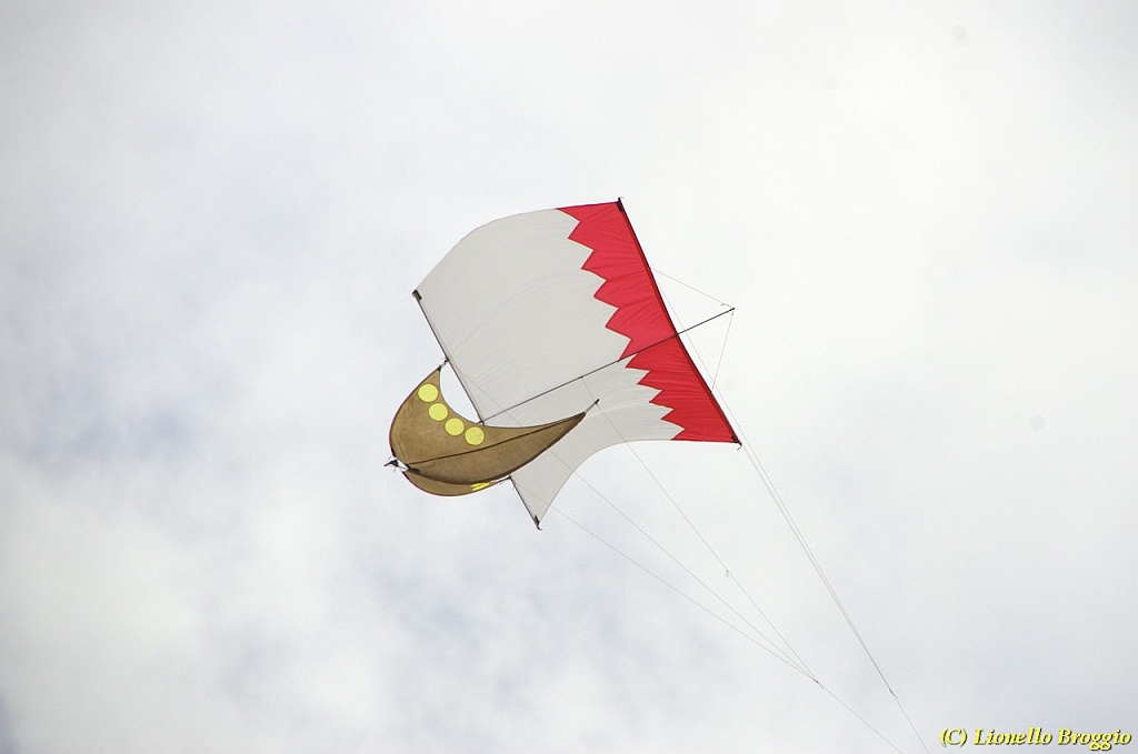 DSC_4888.jpg