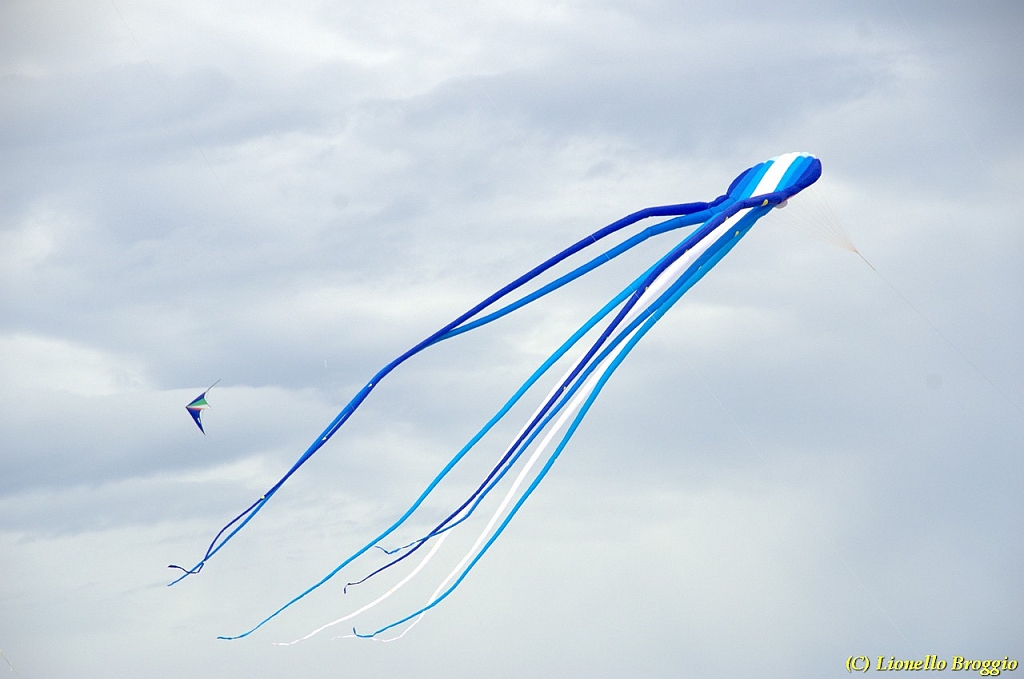 DSC_4893.jpg