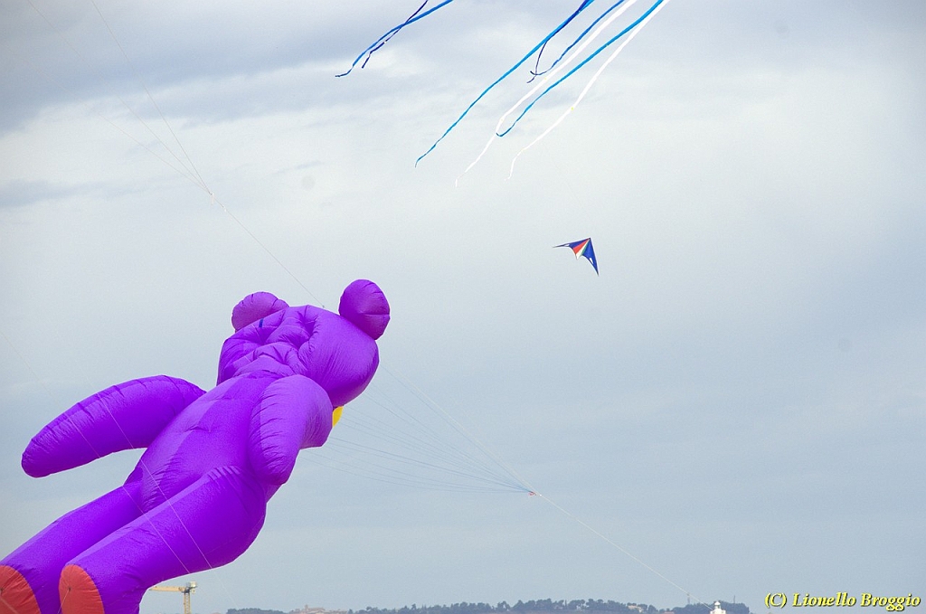 DSC_4894.jpg