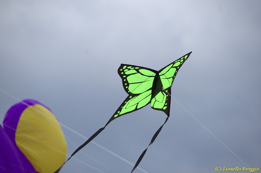 DSC_4912.jpg