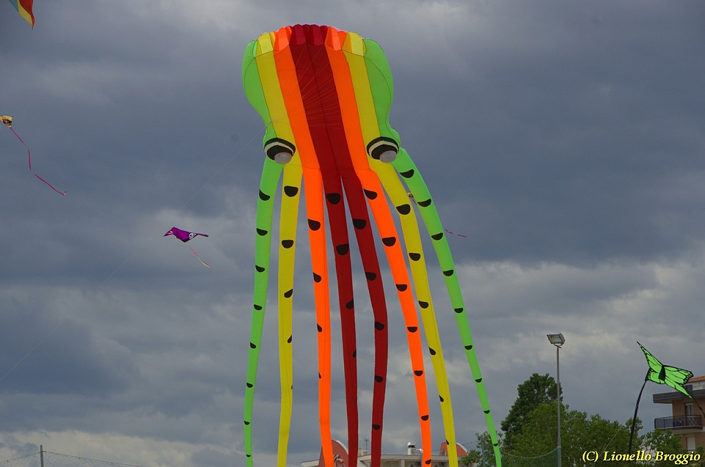 DSC_4917.jpg