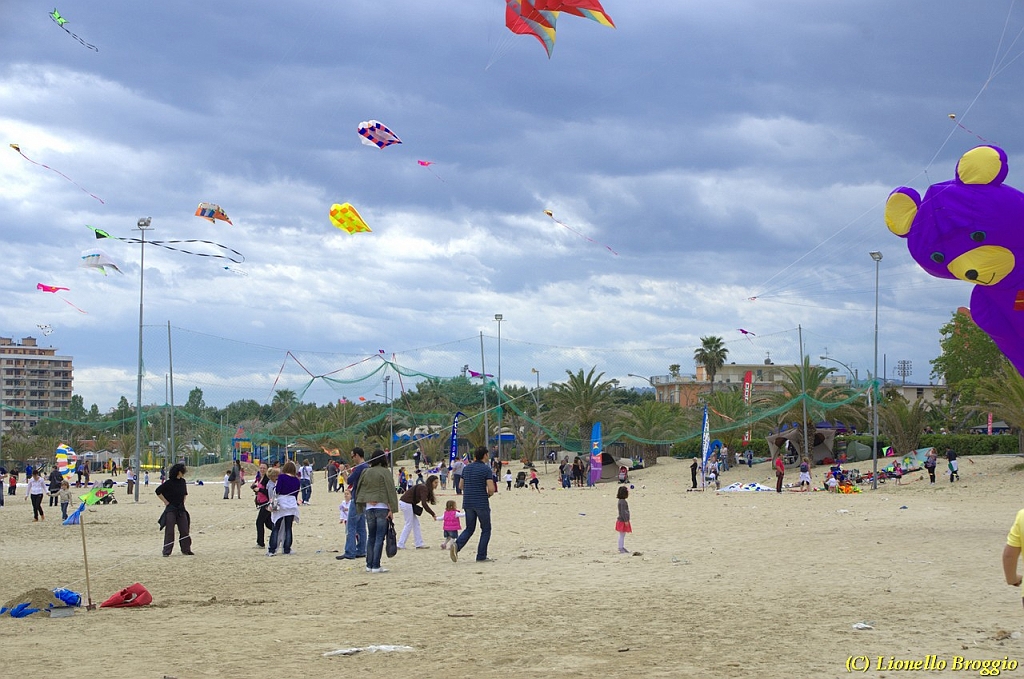 DSC_4932.jpg