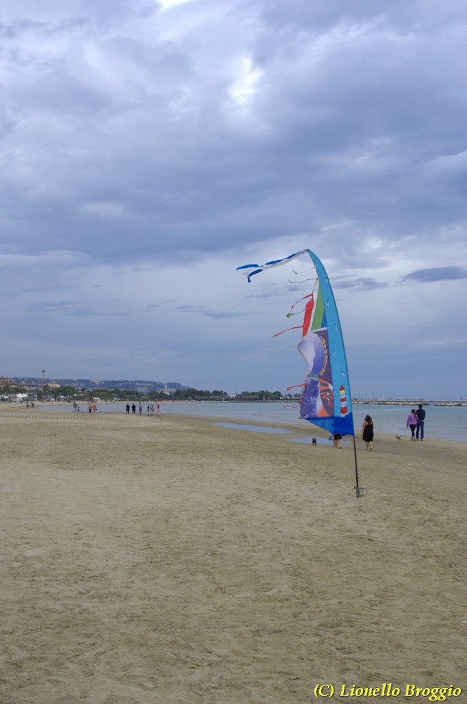 DSC_4936.jpg