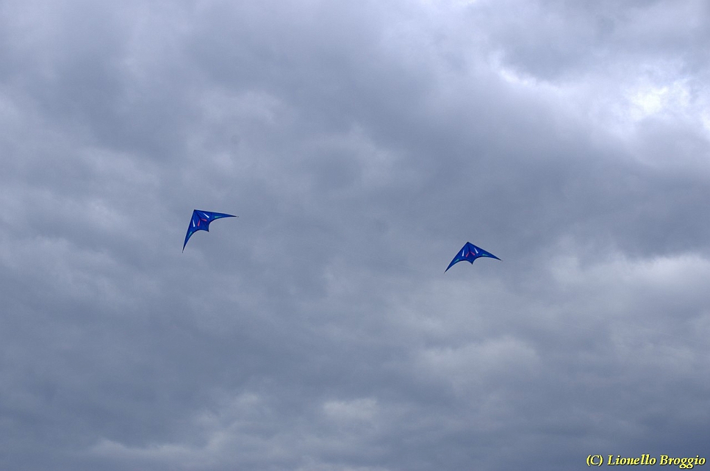 DSC_4937.jpg