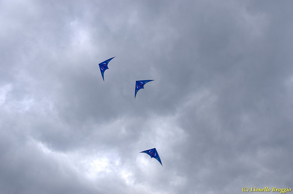 DSC_4940.jpg