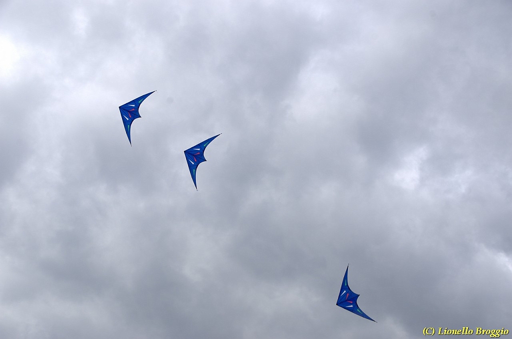 DSC_4941.jpg
