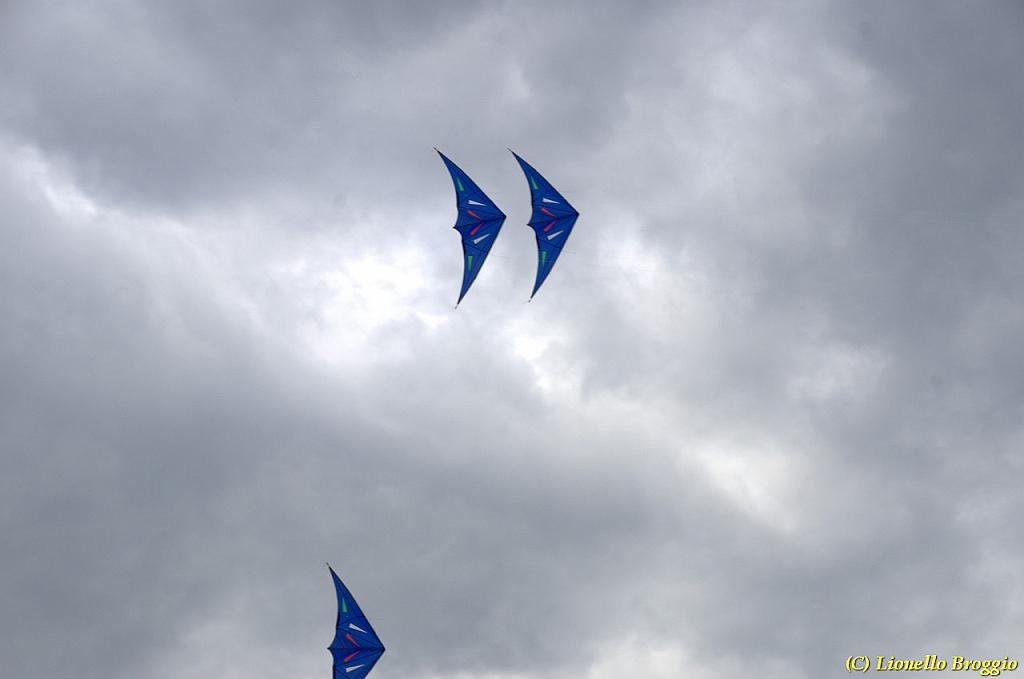 DSC_4942.jpg