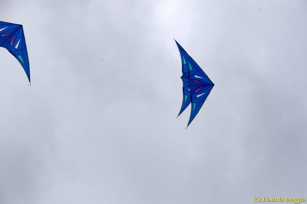 DSC_4943.jpg