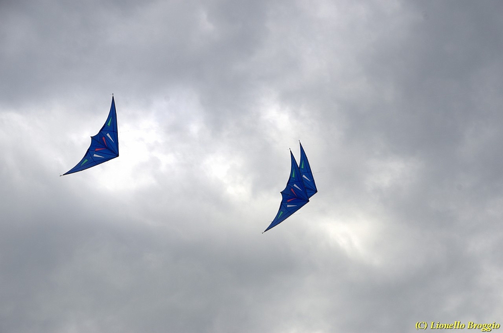 DSC_4945.jpg