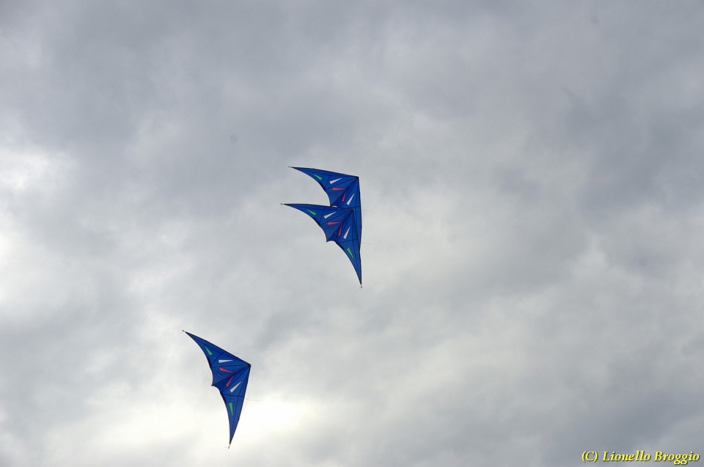 DSC_4946.jpg