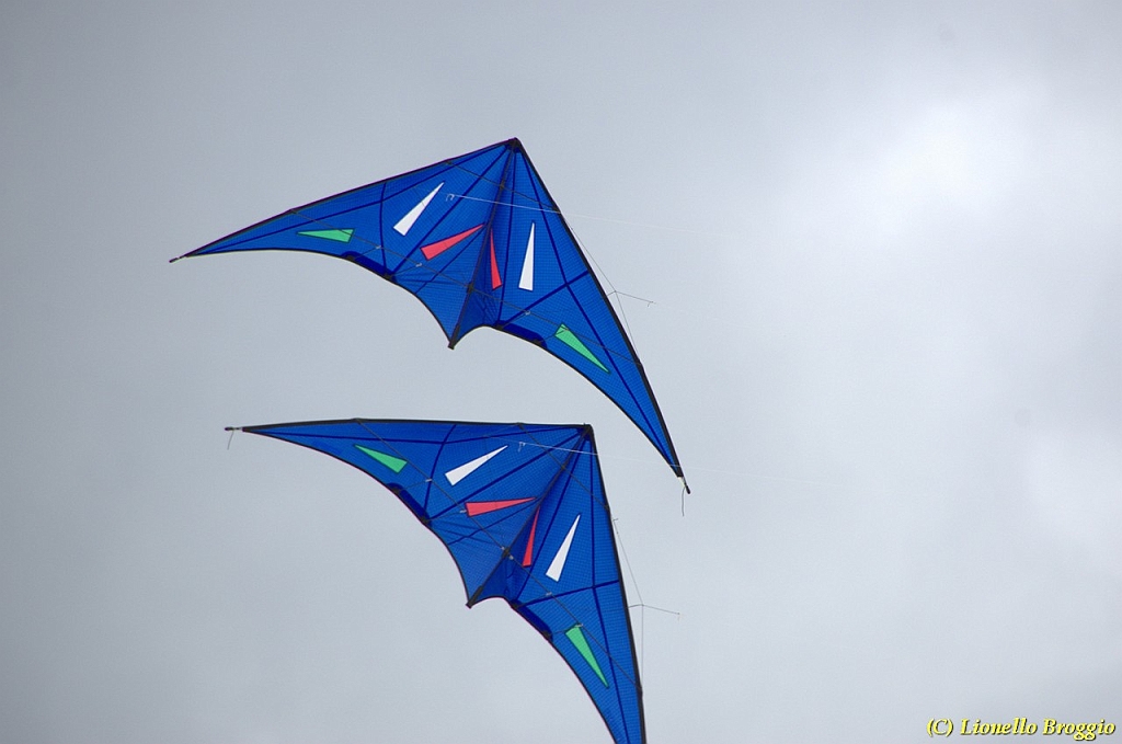 DSC_4947.jpg