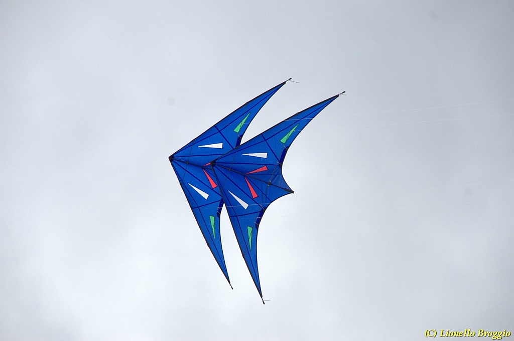 DSC_4949.jpg
