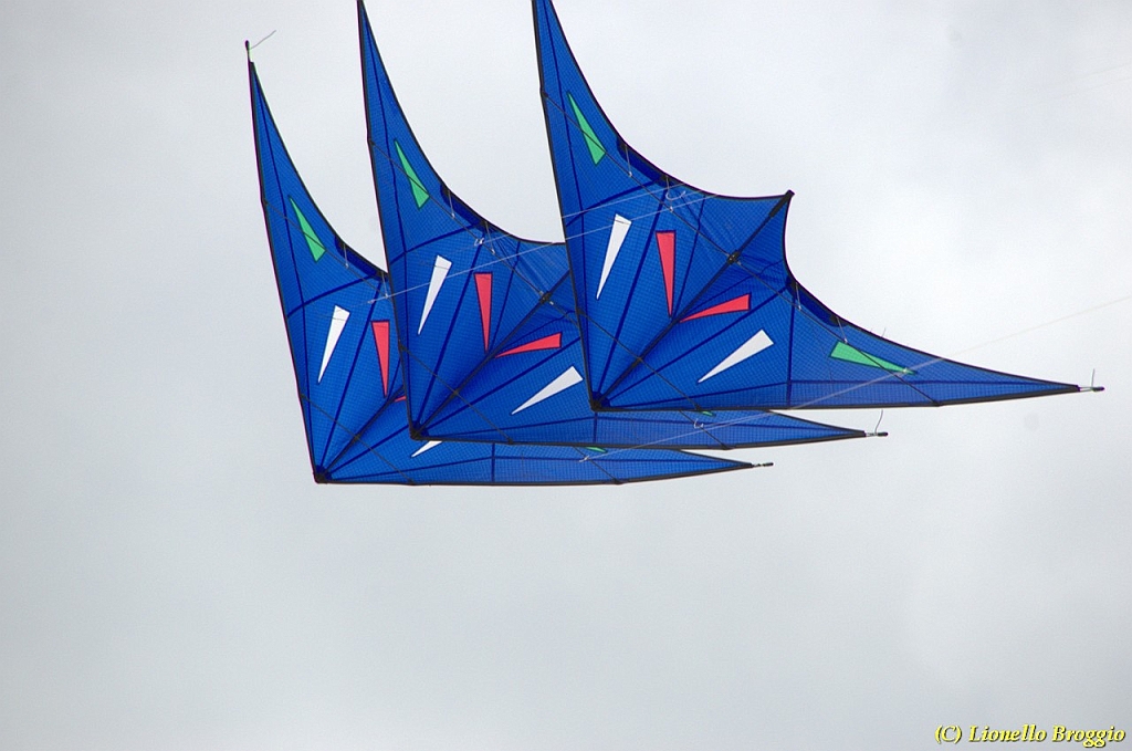 DSC_4951.jpg