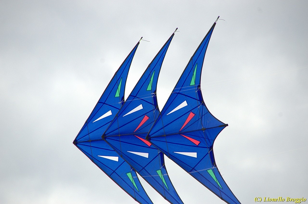 DSC_4954.jpg