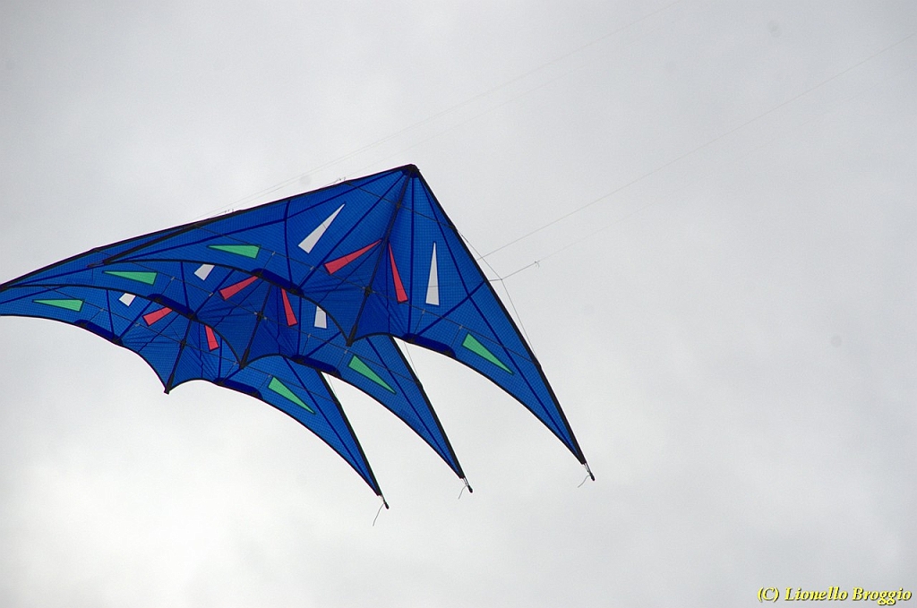 DSC_4957.jpg