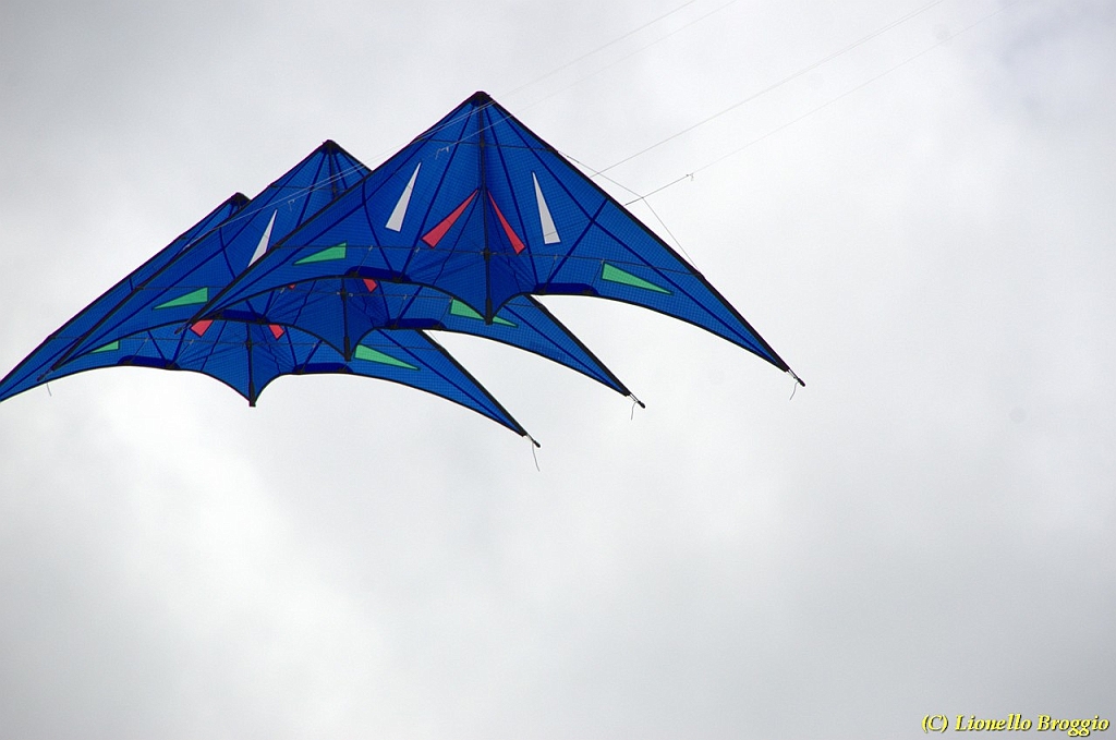 DSC_4959.jpg