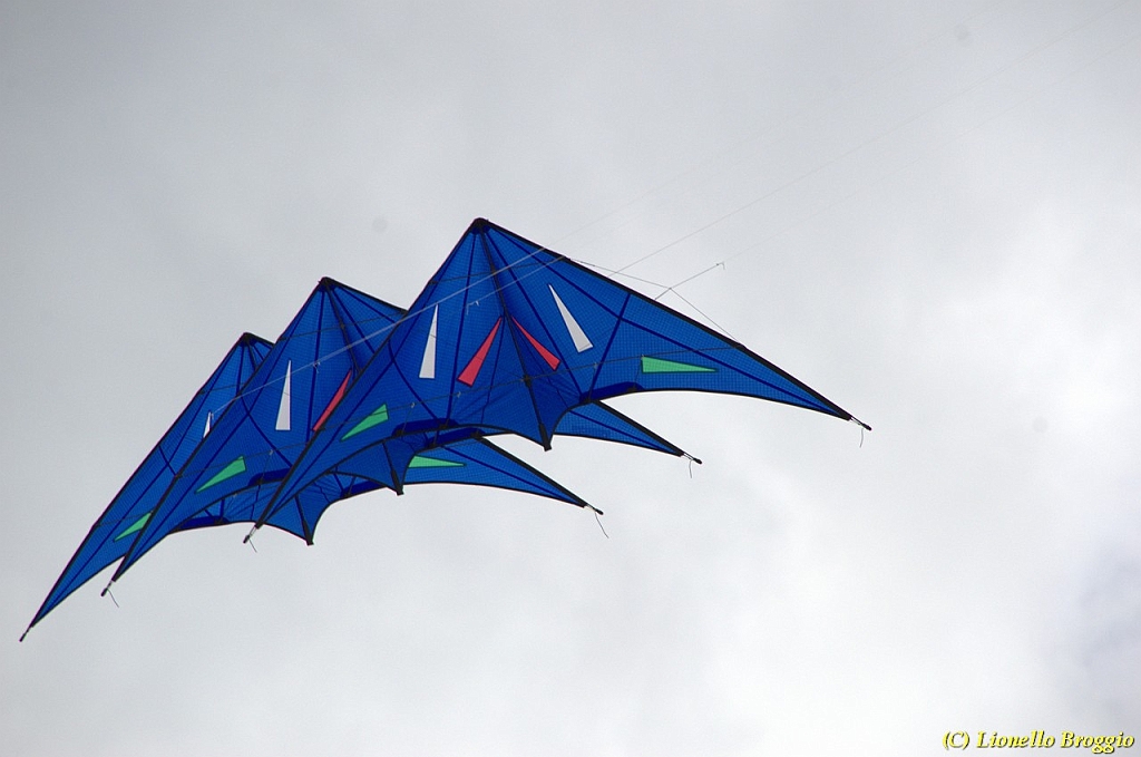 DSC_4960.jpg
