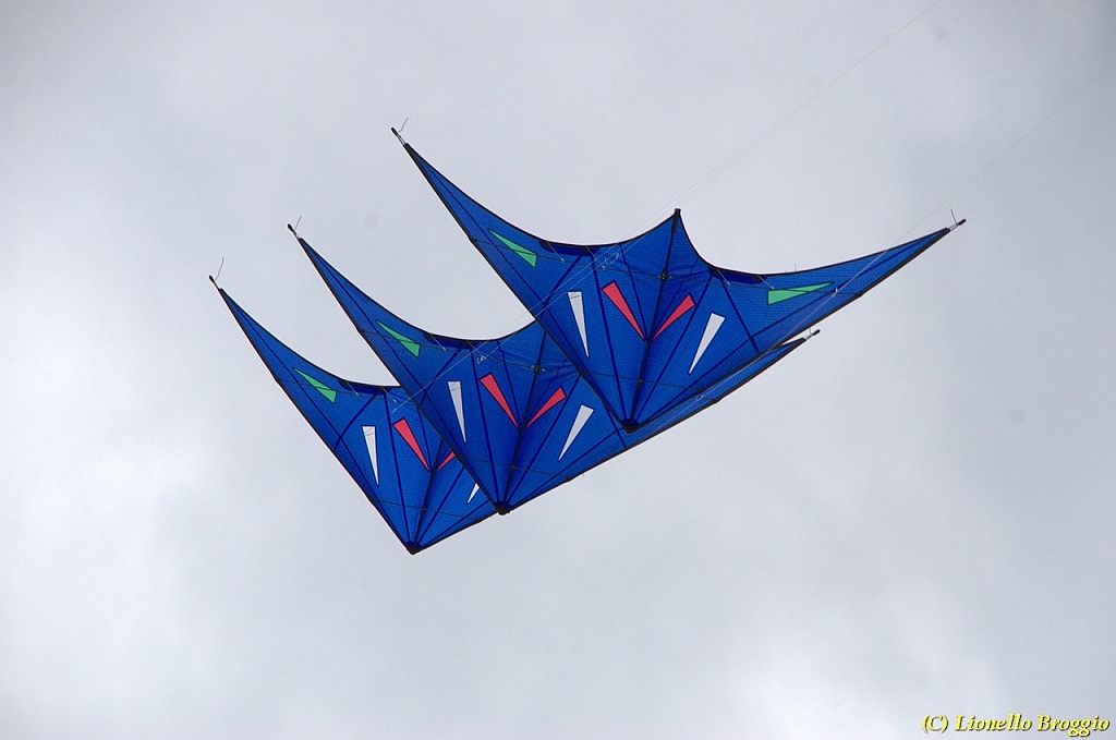 DSC_4969.jpg
