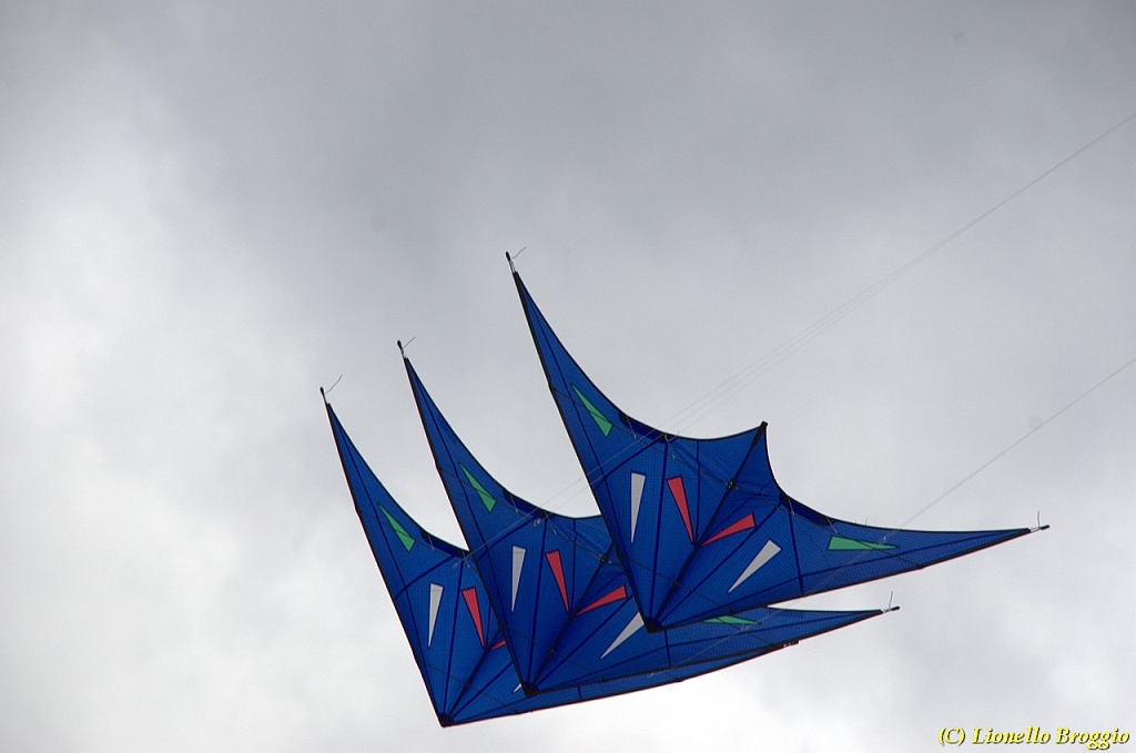 DSC_4970.jpg