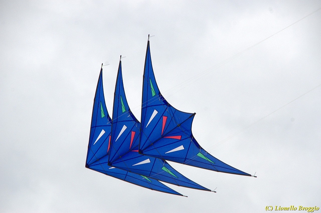 DSC_4971.jpg