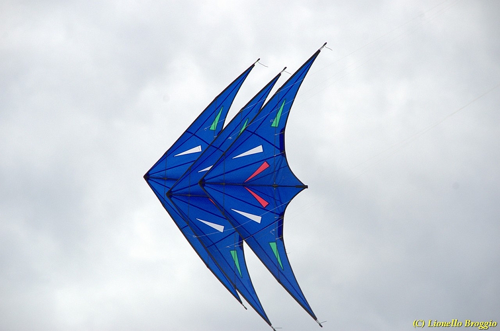 DSC_4972.jpg