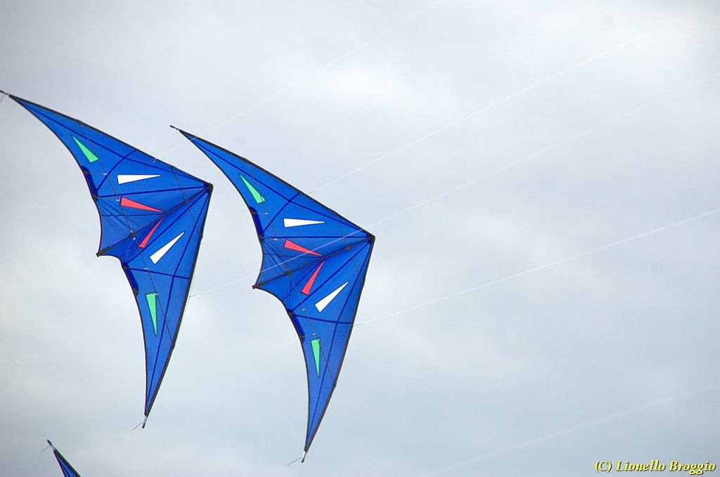 DSC_4977.jpg