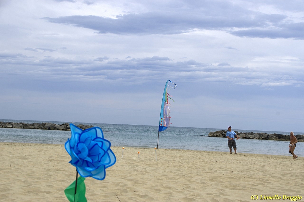 DSC_4991.jpg