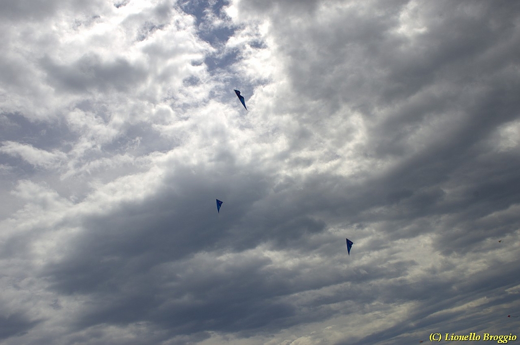 DSC_4993.jpg