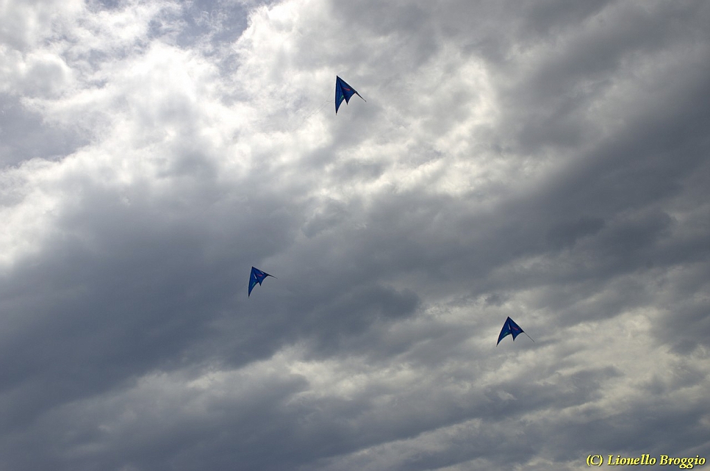 DSC_4994.jpg