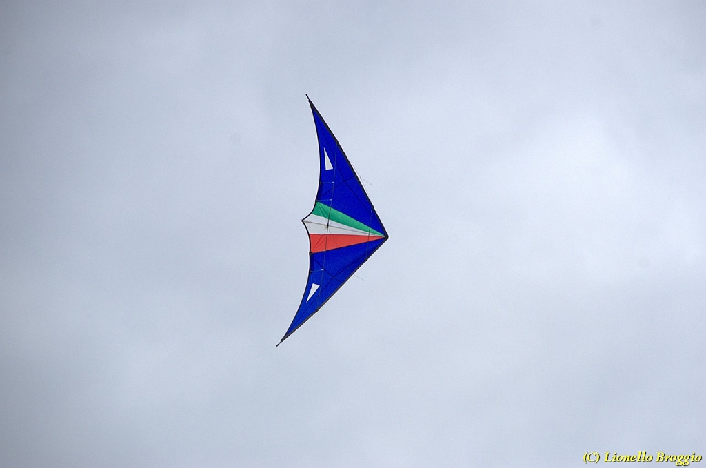 DSC_5009.jpg