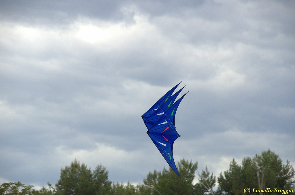 DSC_5022.jpg