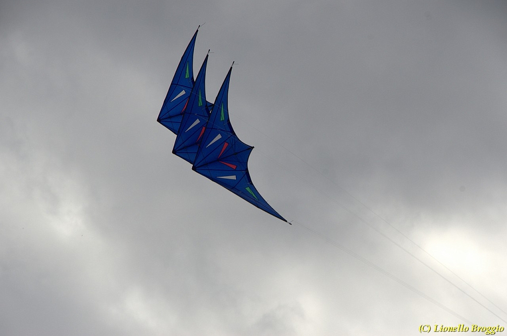 DSC_5030.jpg