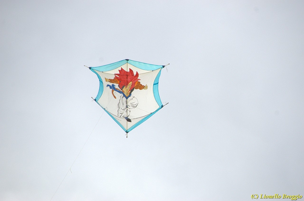 DSC_5036.jpg