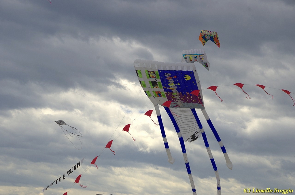 DSC_5040.jpg
