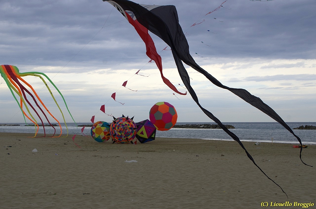 DSC_5058.jpg