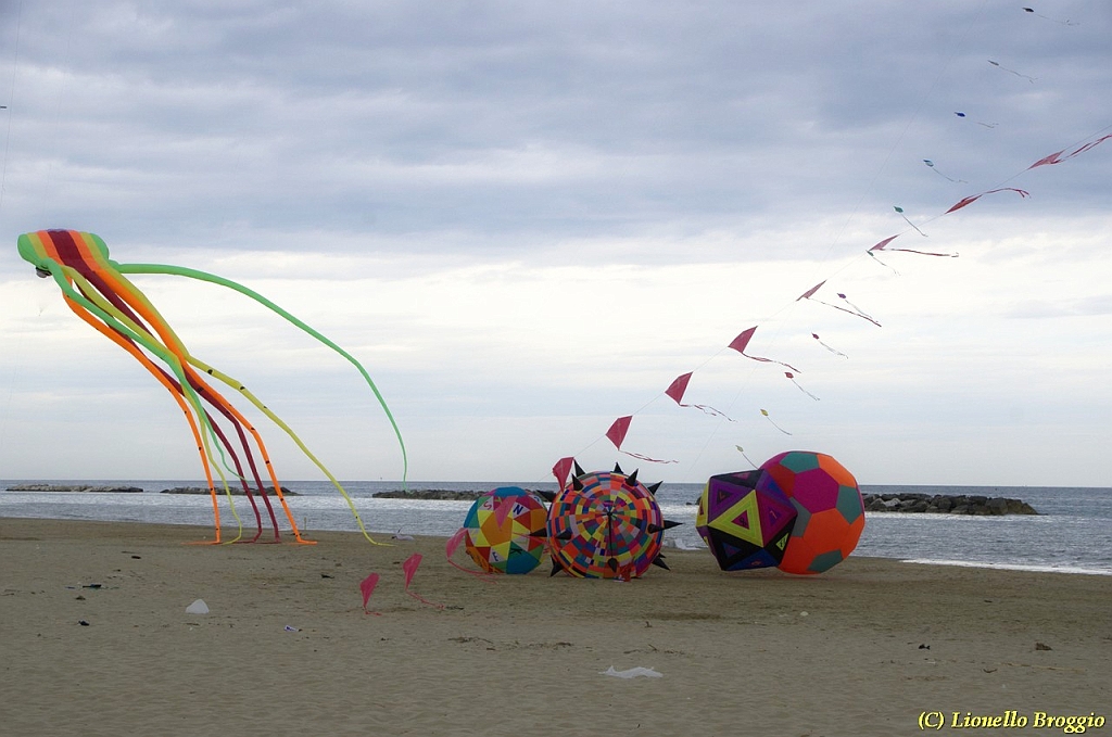 DSC_5059.jpg