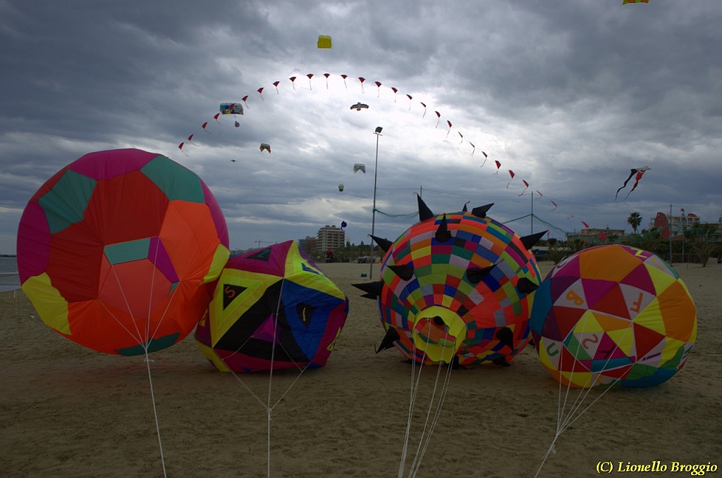 DSC_5074.jpg