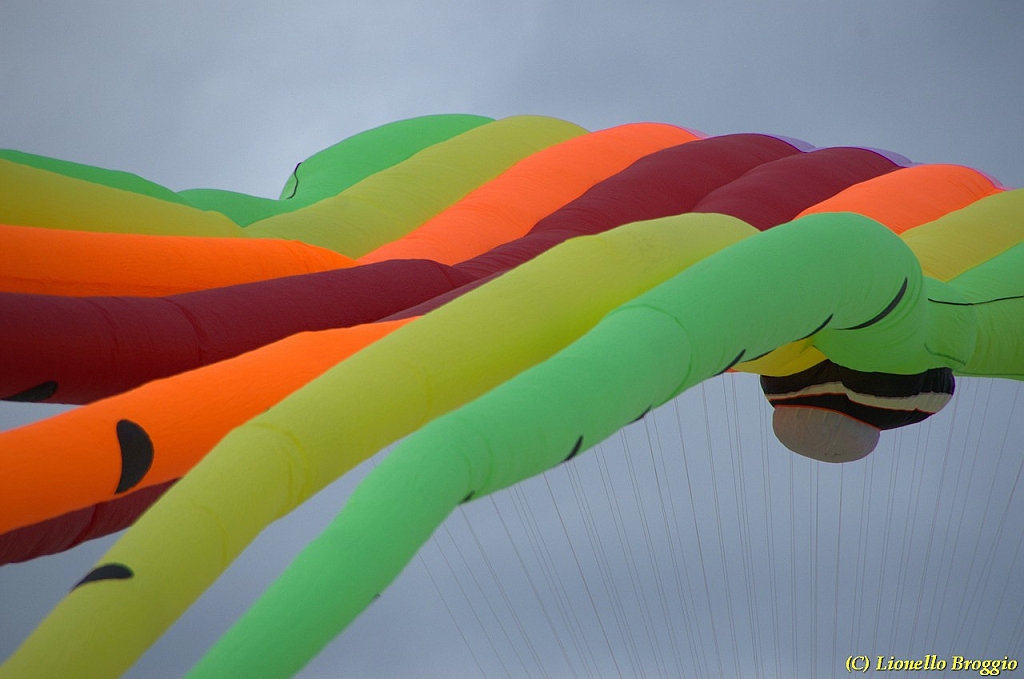 DSC_5078.jpg